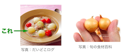 ペコロス　玉ねぎ
