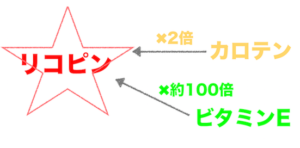 リコピン　カロテン　ビタミンE 抗酸化力　比較