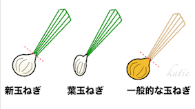 新玉ねぎ　葉玉ねぎ　成長　イラスト