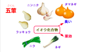 五葷　玉ねぎ　ネギ　ニンニク　ニラ　らっきょう