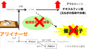 アリシン　催涙因子　催涙因子合成酵素　化学反応