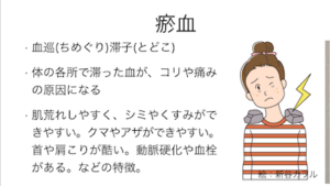 薬膳　体質　瘀血