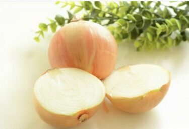 玉ねぎ 2/5 人気野菜2位・玉ねぎの国内産地ランキングと輸入について
